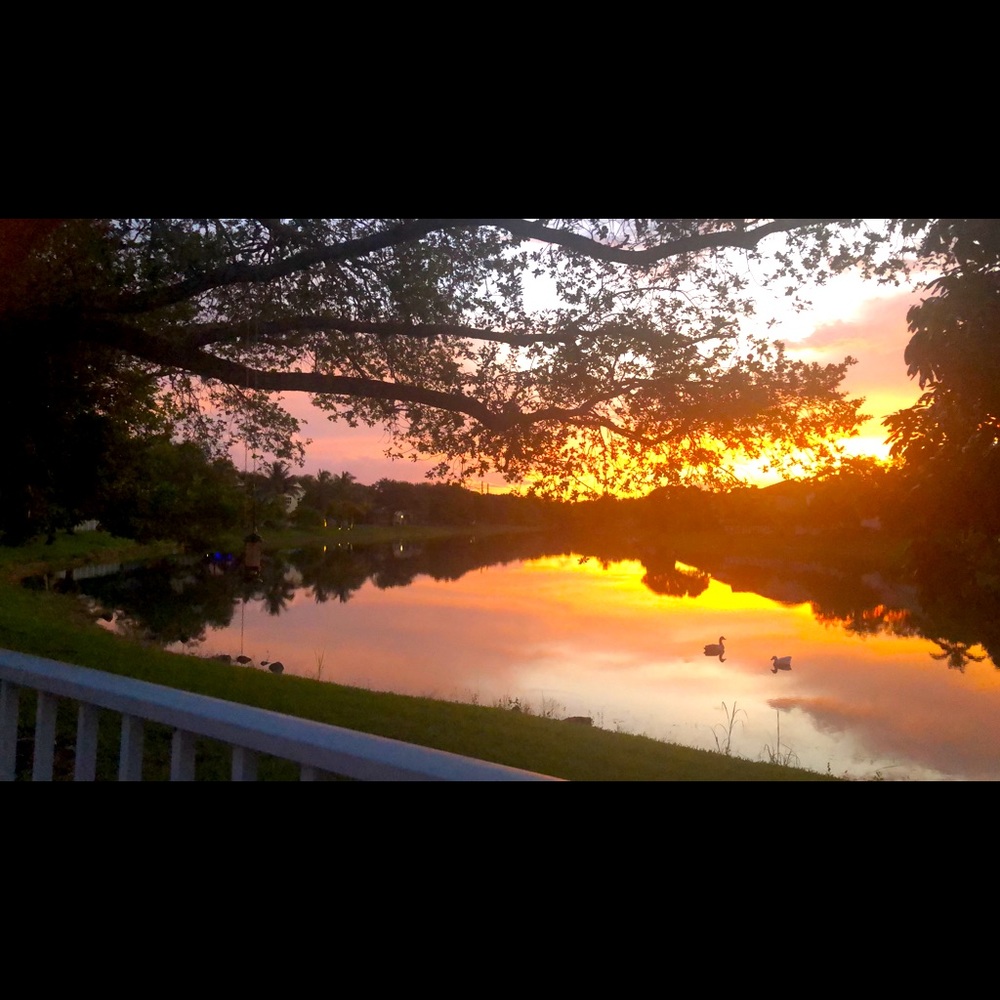 Meet your Posher, Izabel